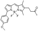 BODIPY TMR化学结构